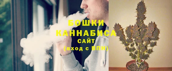 сатива Магадан