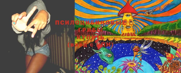 меф Майский