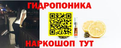 дурь Камышлов