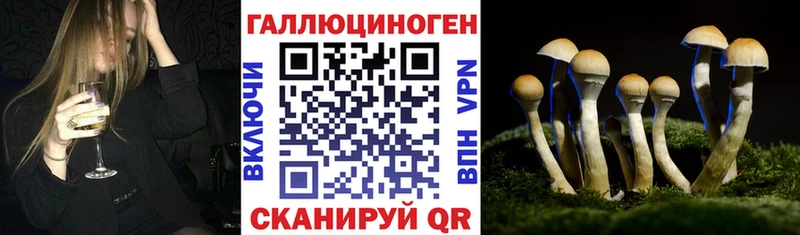 Галлюциногенные грибы прущие грибы  Назрань 