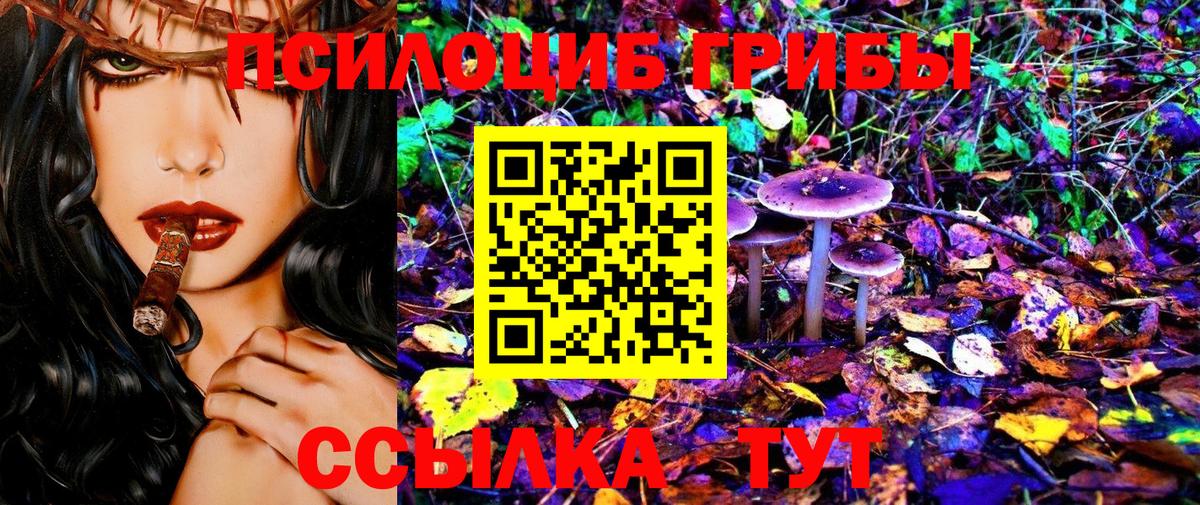 где продают   Галлюциногенные грибы мухоморы  Вход с VPN  Назрань 